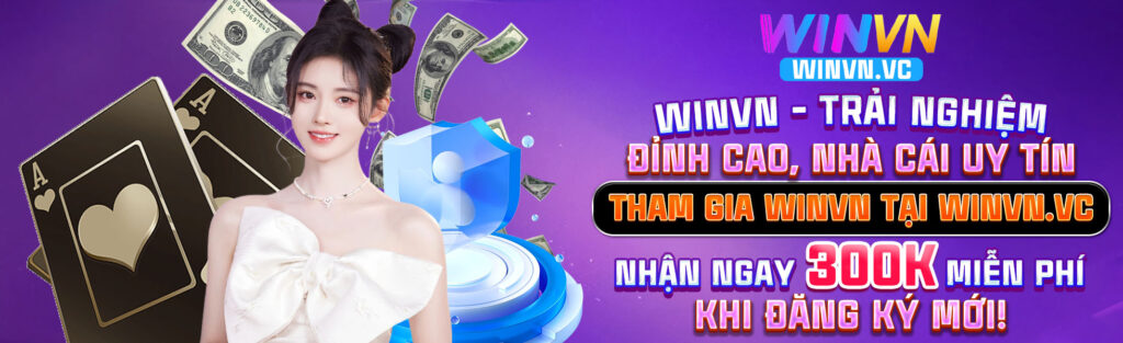 baner winvn
